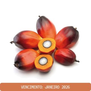 Óleo de Palmiste 100mL