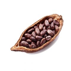 Manteiga de Cacau 100g