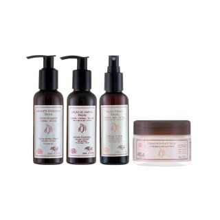 Kit Loção Tônica Facial + Sabonete Esfoliante + Loção de Limpeza + Creme Hidratante Facial Arte dos Aromas