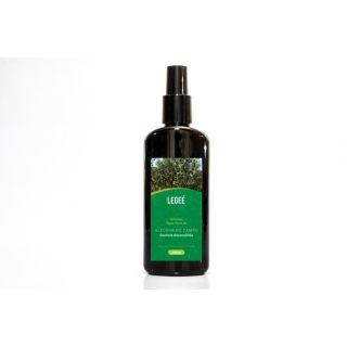 Hidrolato de Alecrim do Campo Legeé Aromas 200ml