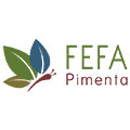 Fefa Pimenta