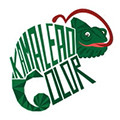 Kamaleão Color